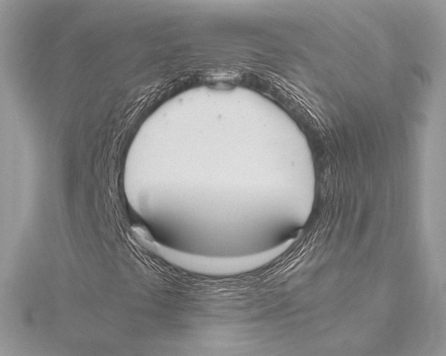 X0000115781441200912041442