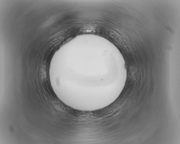 X0000115781442200912041442