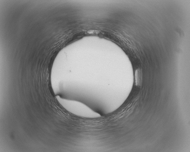 X0000115781443200912041442