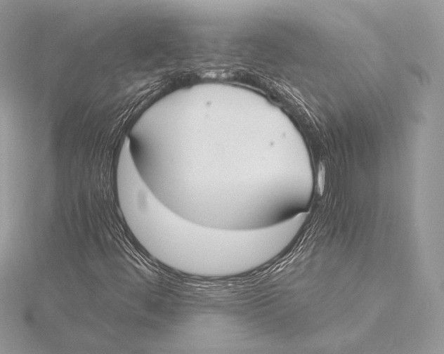 X0000115781444200912041442