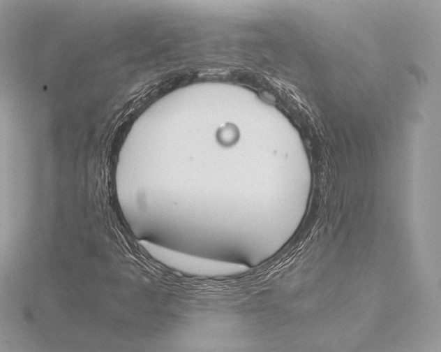 X0000115781445200912041442