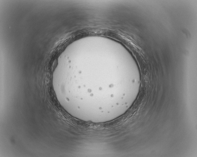 X0000115781447200912041442