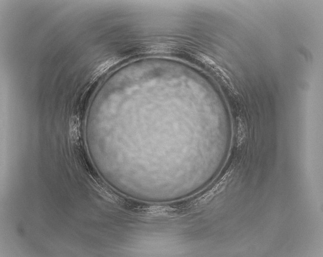 X0000115781449200912041442