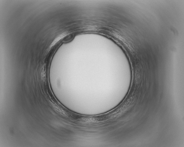 X0000115781450200912041442