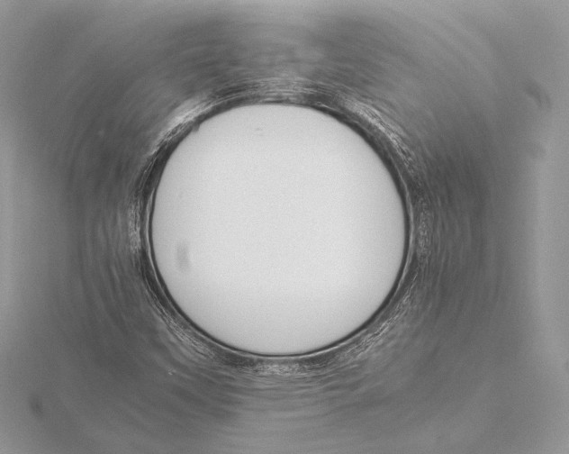 X0000115781451200912041442