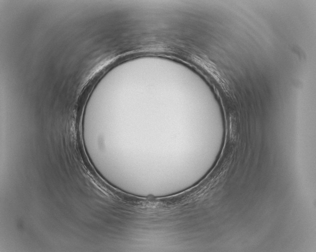 X0000115781452200912041442