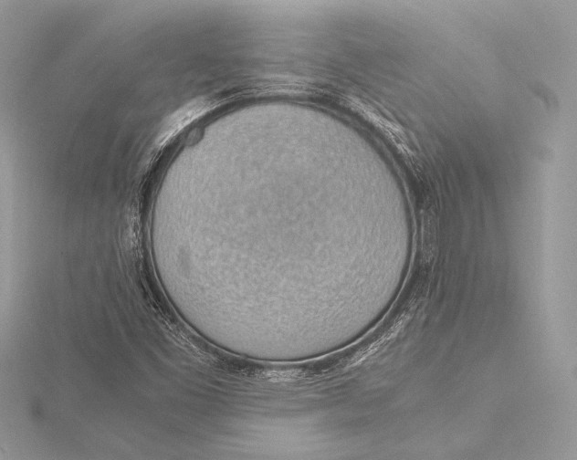 X0000115781453200912041442