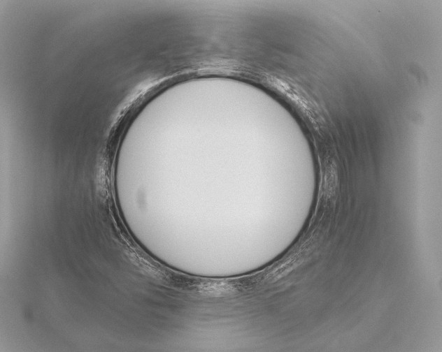 X0000115781454200912041442