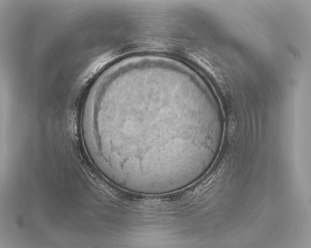 X0000115781455200912041442