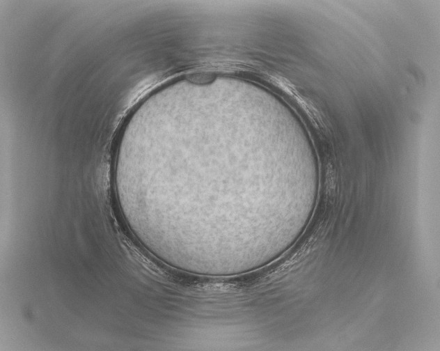 X0000115781459200912041442