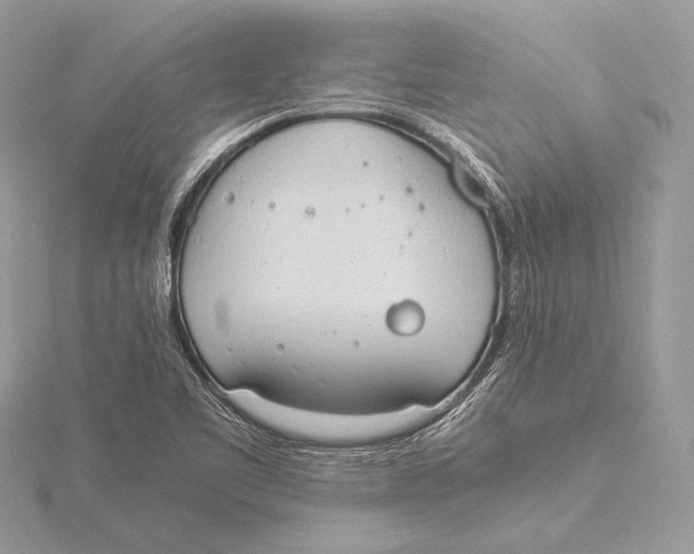 X0000115781461200912041442