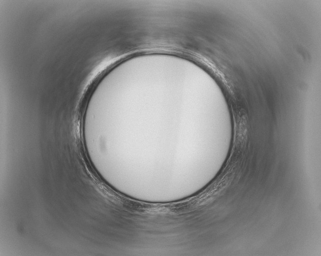 X0000115781462200912041442