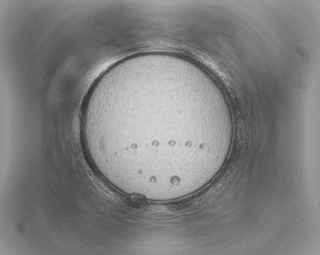 X0000115781463200912041442