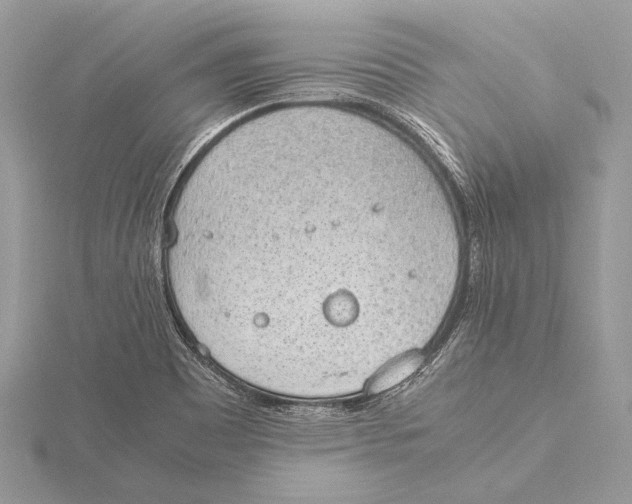 X0000115781465200912041442