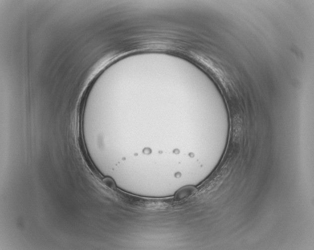 X0000115781467200912041441