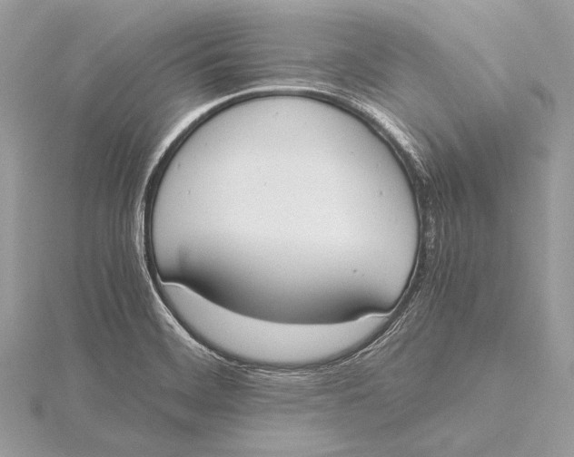 X0000115781468200912041441