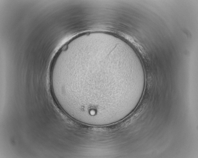 X0000115781469200912041441