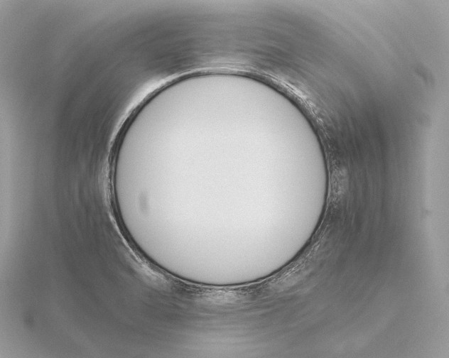 X0000115781470200912041441