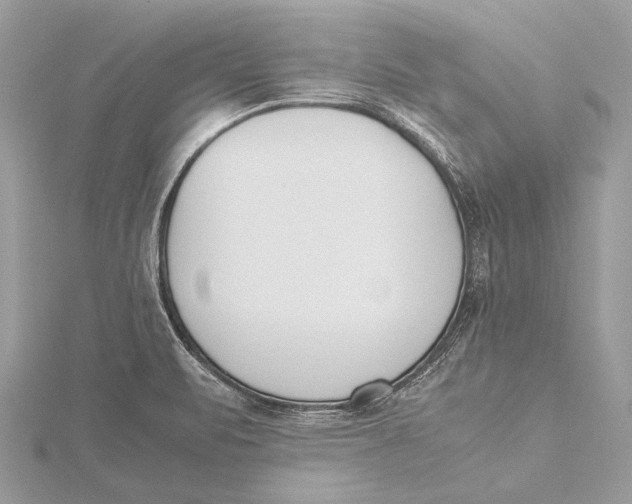 X0000115781471200912041441