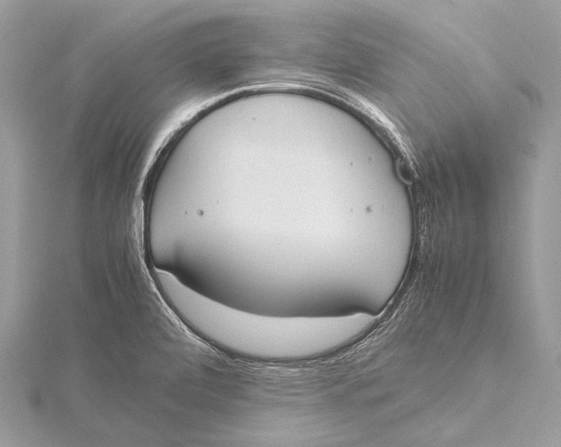 X0000115781472200912041441