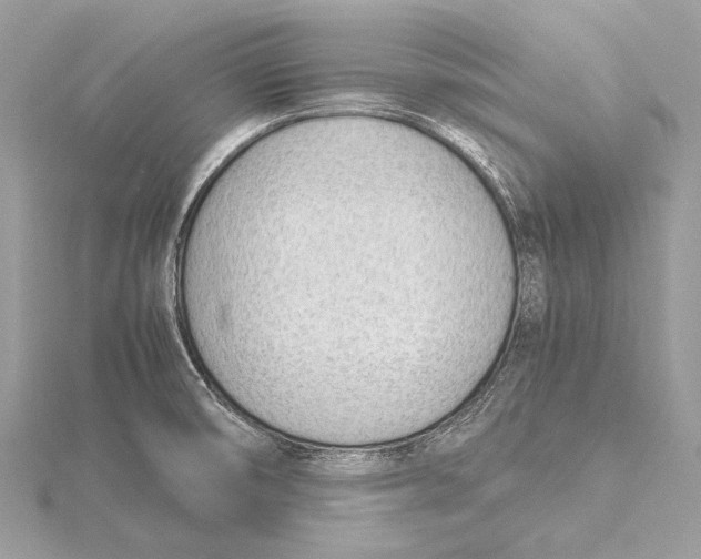 X0000115781474200912041441