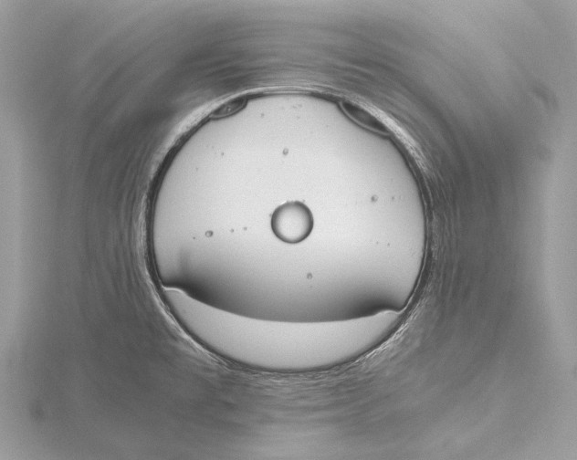 X0000115781477200912041441