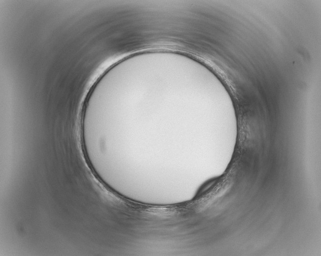 X0000115781478200912041441