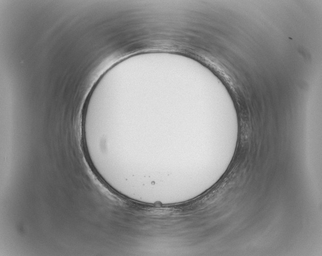 X0000115781479200912041441