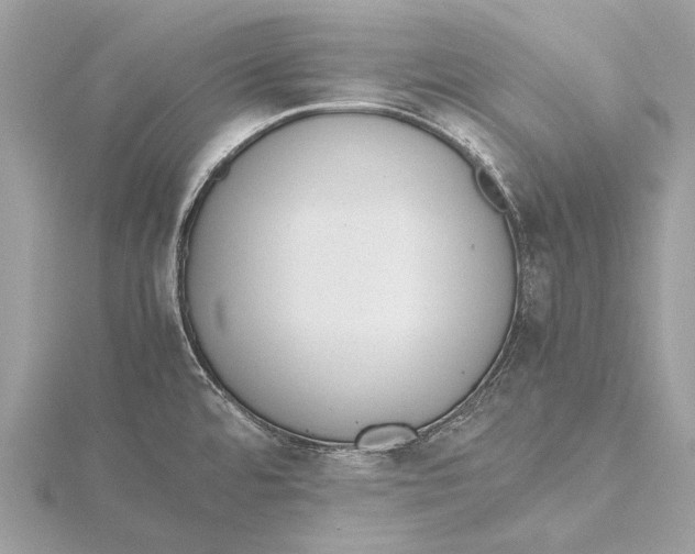 X0000115781480200912041441