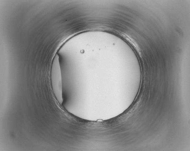 X0000115781481200912041441