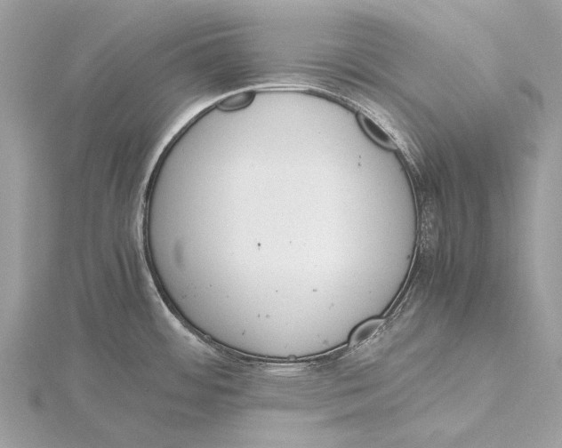 X0000115781484200912041441