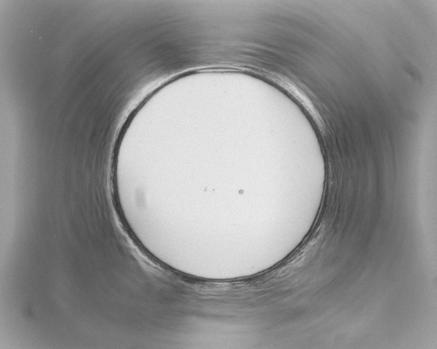 X0000115781485200912041441