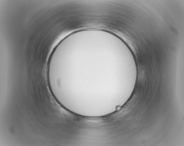 X0000115781486200912041441