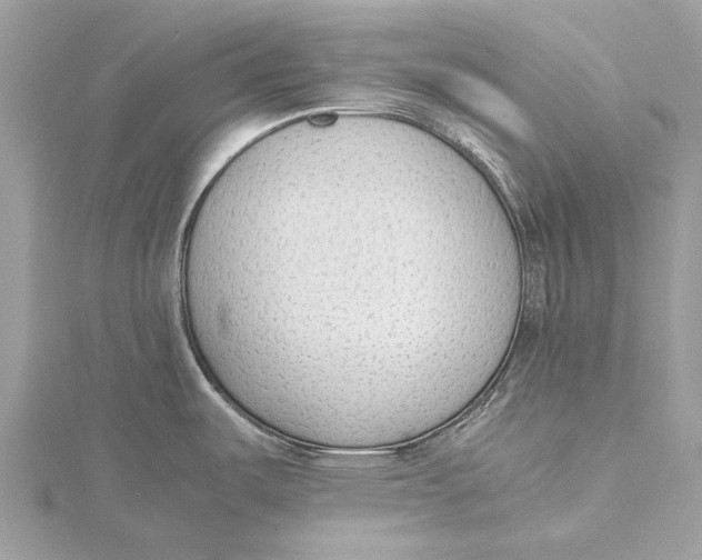 X0000115781487200912041441