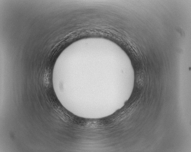 X0000115781490200912041441