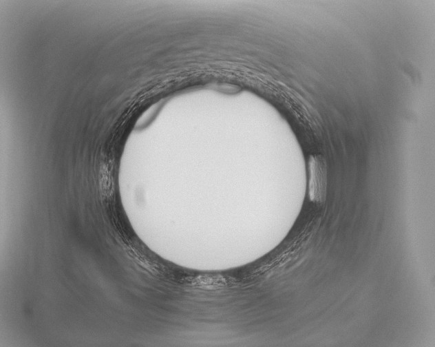 X0000115781491200912041441