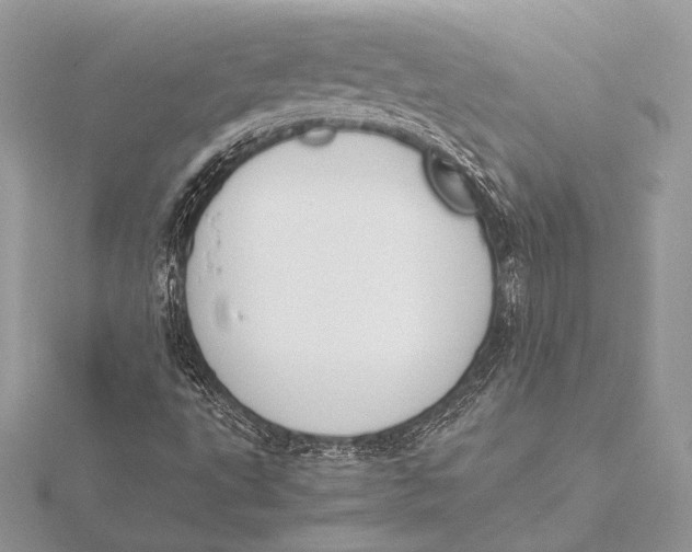 X0000115781495200912041441