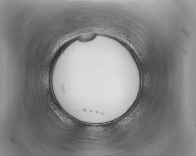 X0000115781499200912041441