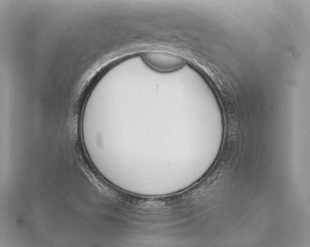 X0000115781503200912041441