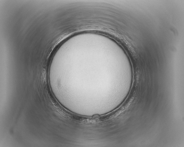 X0000115781505200912041441