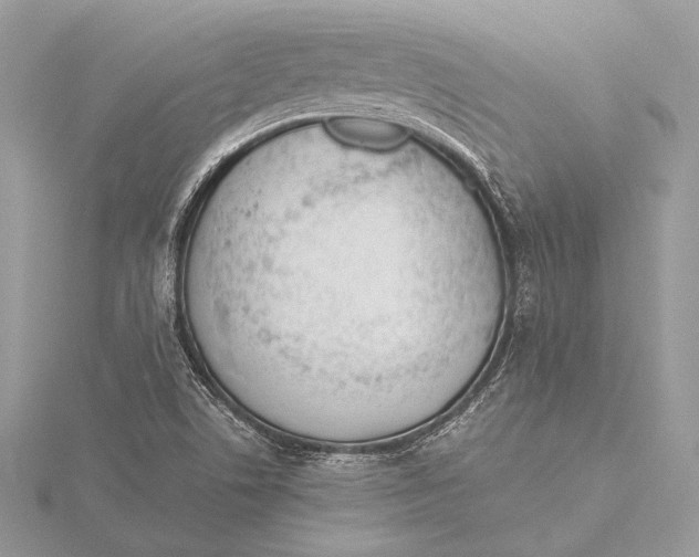 X0000115781506200912041441