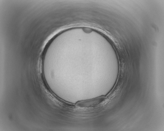 X0000115781510200912041441