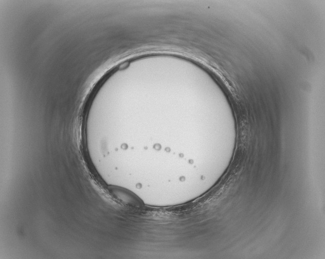 X0000115781511200912041441