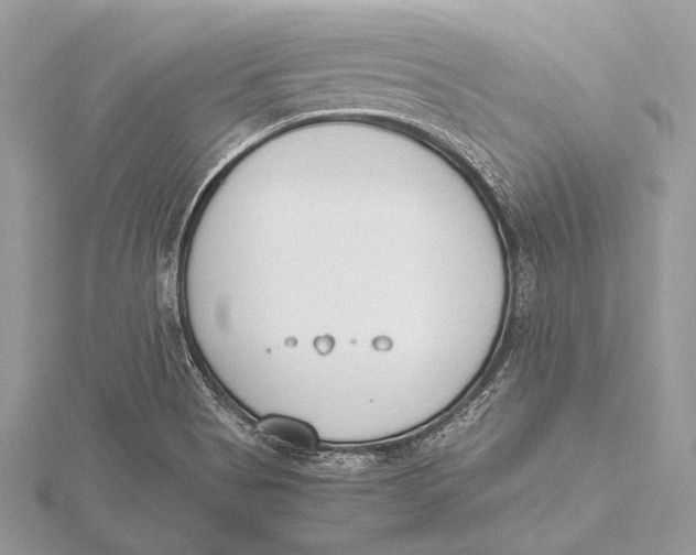 X0000115781513200912041441