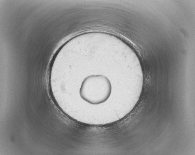 X0000115781514200912041441