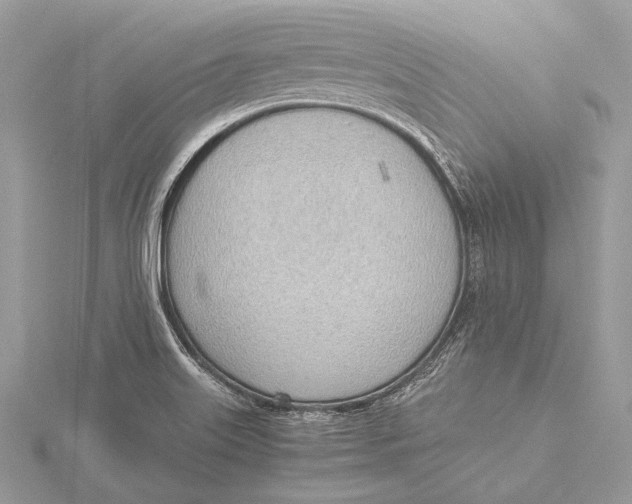 X0000115781515200912041441