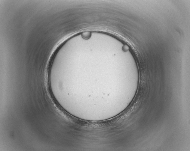 X0000115781517200912041441