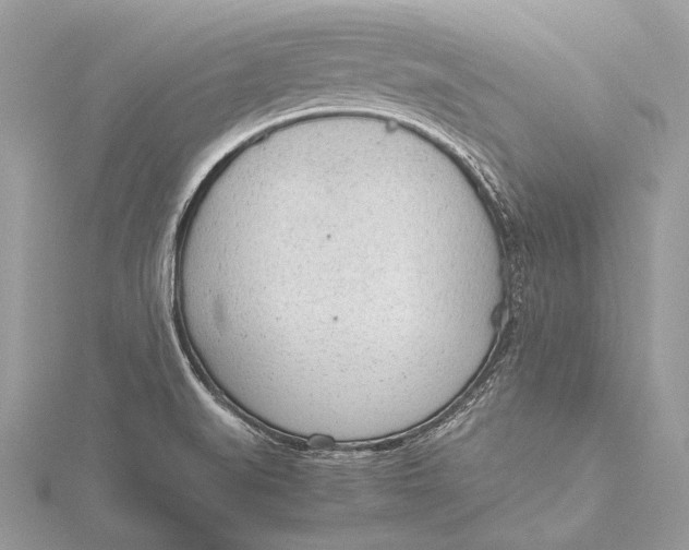 X0000115781519200912041441