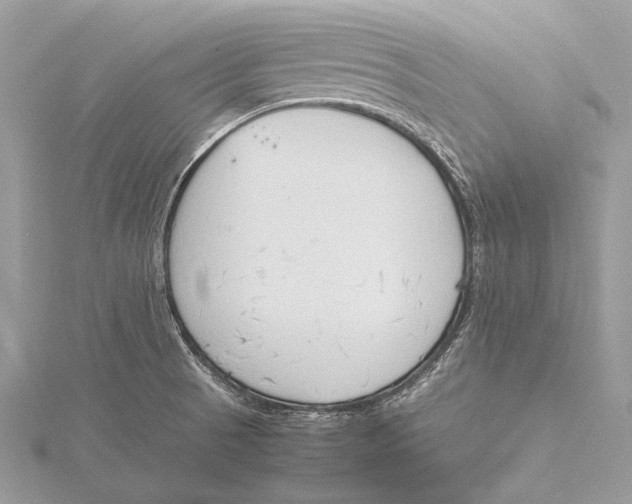 X0000115781521200912041441