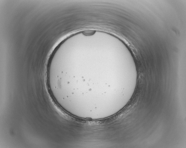 X0000115781523200912041441